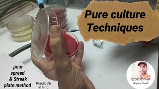 pure culture techniques practically in hindi  pour plate spread plate amp streak plate method [upl. by Ahtoelc]