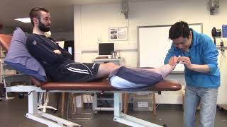 Manual Muscle Testing Leg muscles [upl. by Daven548]