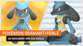 Pokémon Strahlender Diamant amp Leuchtende Perle Riolu bekommen [upl. by Ansilma]