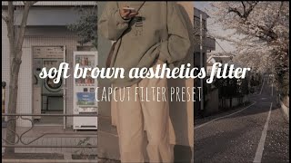 soft brown aesthetics filter  using capcut [upl. by Enaej]