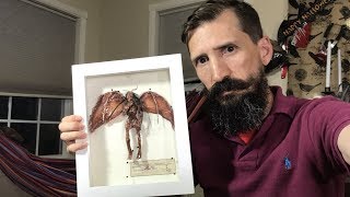 Easy mummified fairy or dead sprite specimen tutorial [upl. by Atteynad]