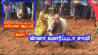 ன்னா வளர்ப்புடா சாமி 100 வேற லெவல் காளை Tamizhan Trending [upl. by Nosnaj484]