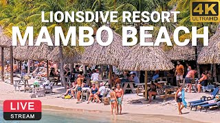 LionsDive Beach Resort  Mambo Beach  Curaçao 🌴💦 PTZ 4K LIVE WEBCAM [upl. by Glinys]