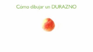 Cómo Dibujar un Durazno  Frutas Dibujadas [upl. by Dorsey]