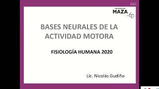 Bases neurales de la Actividad Motora [upl. by Zelde]