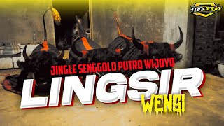 DJ BANTENGAN LINGSIR WENGI JINGLE SENGGOLO PUTRO WIJOYO DJ HELOS PRODUCTION [upl. by Petta]