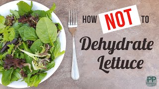 How to Dehydrate Lettuce  when it all goes wrong [upl. by Arnaldo594]