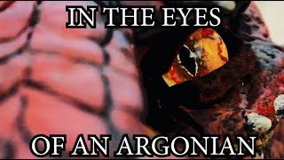 In The Eyes Of An Argonian  Part 1 [upl. by Heiskell]