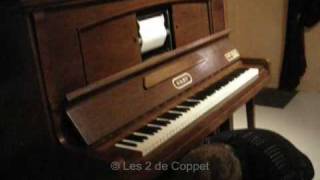 quotPianoAccordeonJazzquot Gaby de la Maison René Seybold [upl. by Latricia]