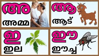 Malayalam aksharamala swaraksharangal Amma Aadu ela eecha Malayalam alphabet letters [upl. by Timmie]