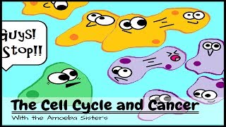 OLD VIDEO The Cell Cycle and Cancer [upl. by Bijan]