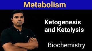 Metabolism Ketogenesis and Ketolysis [upl. by Agbogla]