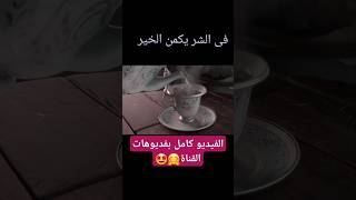 Cartoon World  عالم الكرتون🧚افلام انمى🧚 Anime movies🧚 [upl. by Jonie]