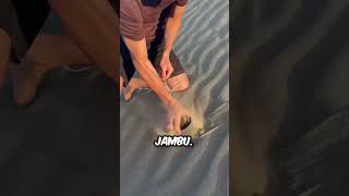 Why is this guy tossing magnets onto the sand [upl. by Laro451]