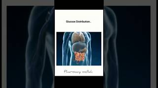 How to Glucose Distribution Work in Body 🗣️   shoerts pharmacy [upl. by Ardnossak]