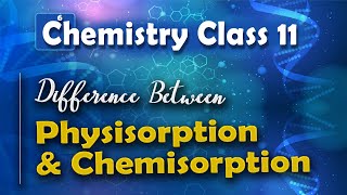 Difference Between Physisorption and Chemisorption  Surface Chemistry  Chemistry Class 11 [upl. by Akenor]