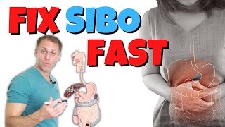 How to Fix SIBO Fast Small Intestinal Bacterial Overgrowth [upl. by Liek794]