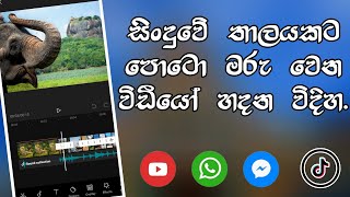 How to crete audio with photo change video Sinc audio with photoEditor lk capcut tutorial sinhala [upl. by Lazare184]