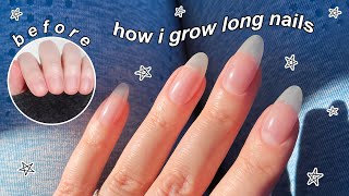 HOW I GROW LONG NATURAL NAILS  The Beauty Vault [upl. by Buonomo]