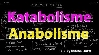 Metabolisme Sel Katabolisme dan Anabolisme [upl. by Unhsiv]