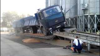 Truck unloads grains on the ramp грузовик МАЗ высыпает зерна на рампе [upl. by Jarrad20]