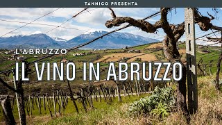 Montepulciano Trebbiano e il successo internazionale il vino in Abruzzo  Tannico [upl. by Miles]