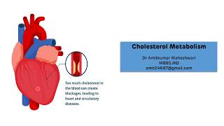 Cholesterol Synthesis Pathway  Cholesterol Metabolism  Biochemistry [upl. by Nahama]