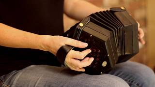 The Phoenix Concertina [upl. by Higginbotham]