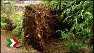 Unwetter über NRW Windhose zog durch Moers und Duisburg [upl. by Herwig]