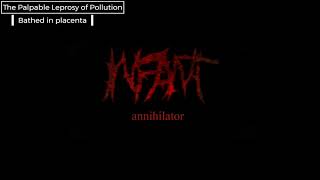 Infant Annihilator  Bathed in Placenta DRUM ONLY [upl. by Gent753]