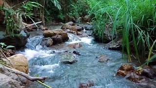 Nighttime River Flow  ASMR Water Sounds for Deep Sleep [upl. by Lenahtan]