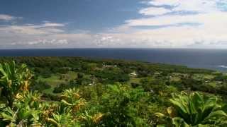 Road to Hana  Shore Excursion  NCL [upl. by Ydniw]