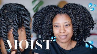 Moisturise DRY Natural Hair In 4 Easy Steps 🔢 Detailed wProduct Recommendations [upl. by Gaspard820]