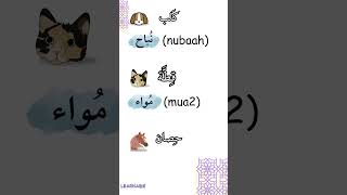 Animal sound names in the Arabic language shorts [upl. by Lorrayne]