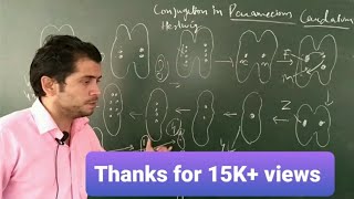 Conjugation in Paramecium caudatum [upl. by Ahselrak]