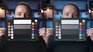 Best LUT for Beginners  Leeming vs FilmConvert vs Buttery [upl. by Enieledam]