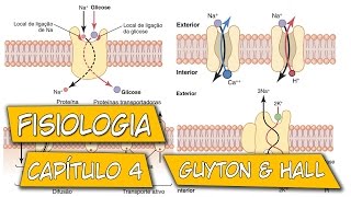 Fisiologia  O Transporte de Substâncias Através da Membrana Celular Capítulo 4 [upl. by Liuqnoj]