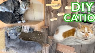 I Built the ULTIMATE Outdoor CATIO for my BARN CATS [upl. by Rochette]