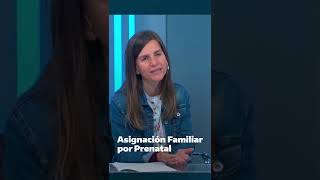 ANSES Responde Asignación Familiar por Prenatal [upl. by Acimahs424]