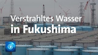 Acht Jahre nach Atomkatastrophe Seltene Einblicke in Fukushima [upl. by Etnecniv]