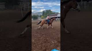 wanted tk post just the barrel part equestrian horse rodeo barrelracing horselife [upl. by Brockwell]