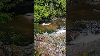 Olallie State Park Washington [upl. by Jolynn901]