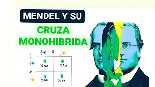 1 Introducción a la genética mendeliana conceptos básicos y cruza monohíbrida [upl. by Itak]