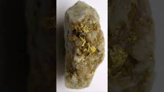 How rare is gold in quartz and how to spot a quartz vein with gold shortsvideo shorts [upl. by Nikola929]