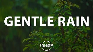 12 Hours Gentle Rain in the Forest for Deep and Relaxing Sleep  Rain sounds for sleeping [upl. by Nelleeus]