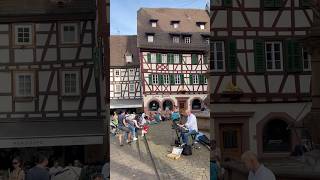 Weinheim Germany 🇩🇪  A Magical Town germanytravelguide travel weinheim germany shorts [upl. by Nnayllehs456]