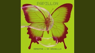 Papillon Feileacan Mix feat DJ Hassella The Acid Rock Punks Remix Special Version [upl. by Roland]