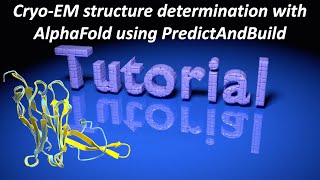 CryoEM structure determination with AlphaFold using PredictAndBuild [upl. by Clementis]