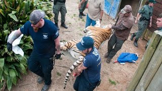 Dangerous Roadside Zoo Rescue [upl. by Noiek]