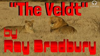 quotThe Veldtquot by RAY BRADBURY • Classic Radio Play • PAUL FREES Narrates [upl. by Sothena]